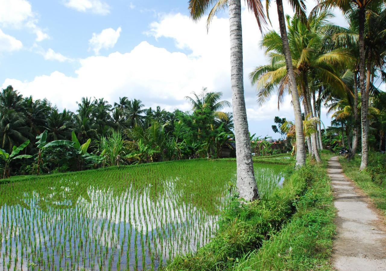 Bedulu Capung Asri Eco Luxury Resort With Private Pool Villas المظهر الخارجي الصورة