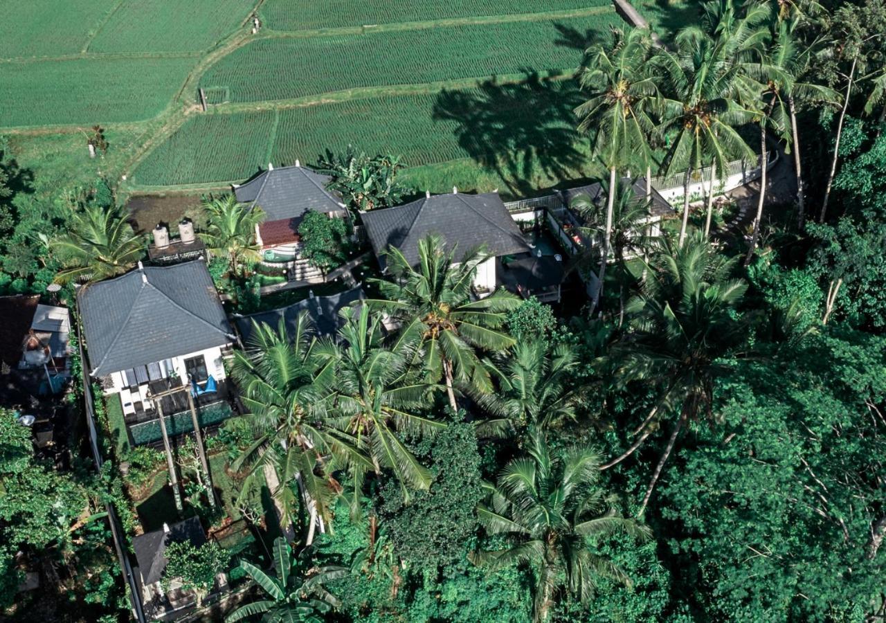 Bedulu Capung Asri Eco Luxury Resort With Private Pool Villas المظهر الخارجي الصورة